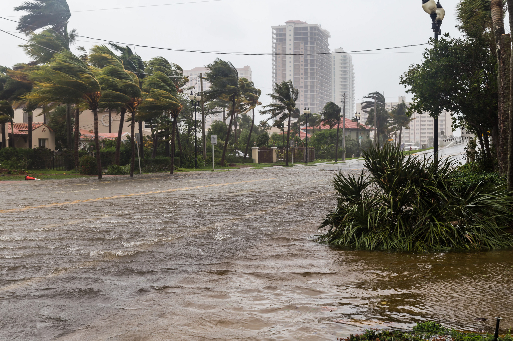 Flooded Streets